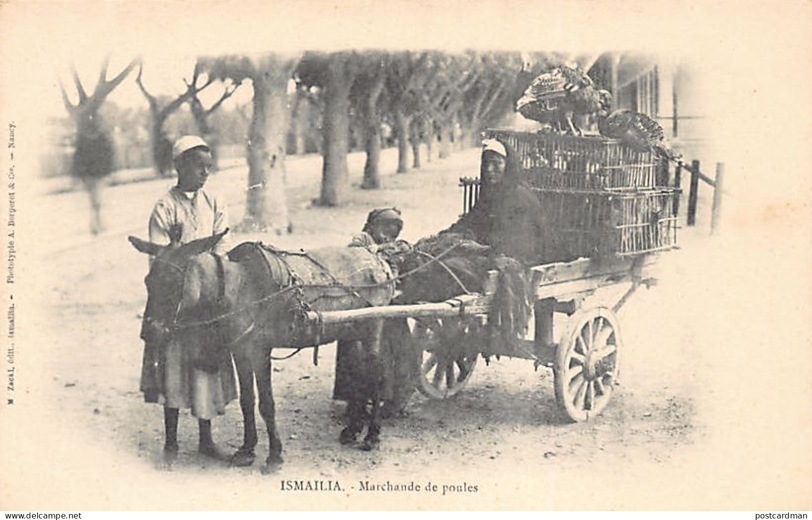 Egypt - ISMAILIA - Chicken seller - Publ. M. Zacki