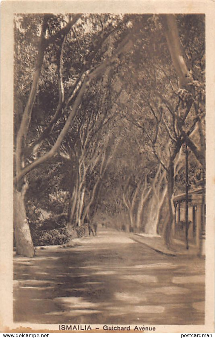 Egypt - ISMAILIA - Guichard avenue - Publ. Bazar Oriental D. Bonaparte