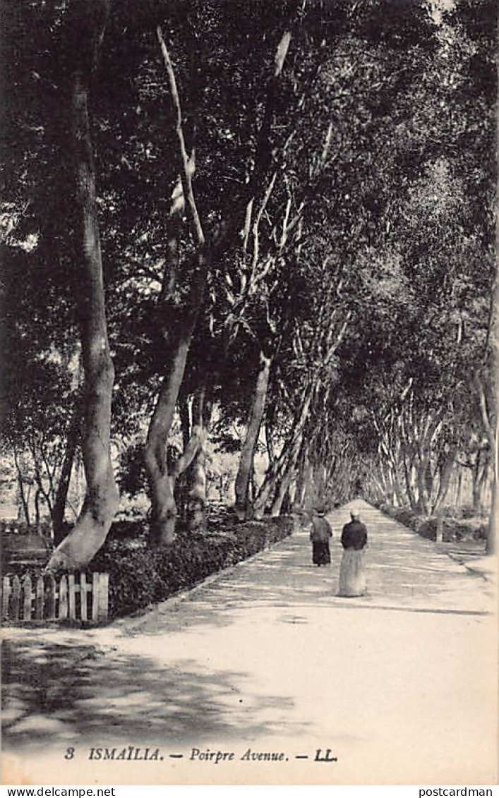 Egypt - ISMAILIA - Poirpre Avenue - Publ. LL Levy 3