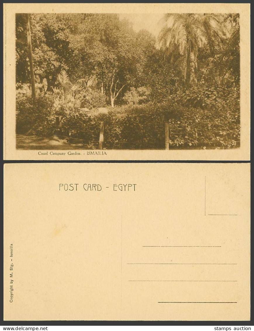 Egypt Old Postcard Ismailia, Canal Company Garden Trees Gardens M. Stg. Ismailia