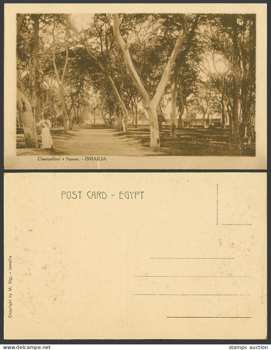 Egypt Old Postcard Ismailia Champollion's Square Native & Trees M. Stg. Ismailia