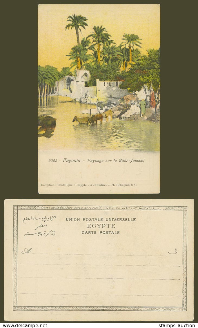Egypt Old UB Postcard Fayoum, Paysage sur le Bahr-Joussef, Landscape River Scene