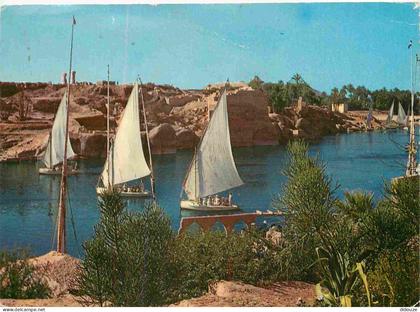 Carte Postale - Egypte - Aswan - General view of the Nile at Aswan - CPM - Voir Scans Recto-Verso