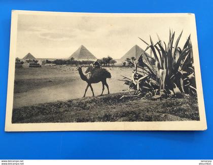 Afrique  Egypte Gizeh ,Le Caire,Cairo,Egypt EGYPTE-EGYPT-CPA Carte Postale- The Pyramids of  Gizeh