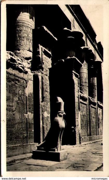 EDFU - The Sacred Hawk