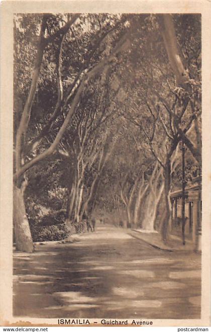 Egypt - ISMAILIA - Guichard avenue - Publ. Bazar Oriental D. Bonaparte