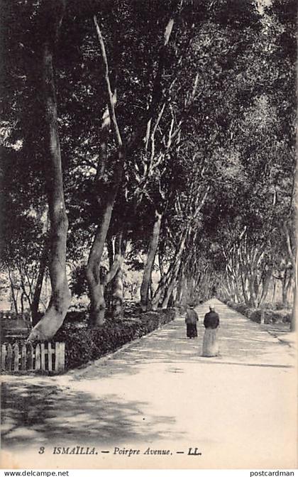 Egypt - ISMAILIA - Poirpre Avenue - Publ. LL Levy 3
