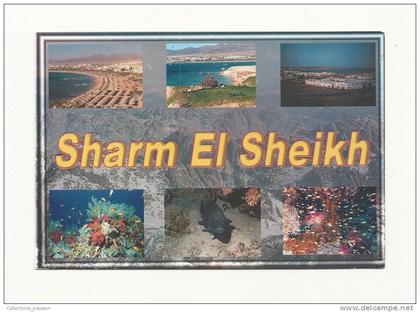 cp, Egypte, Sharm El Sheikh, Multi-Vues, voyagée 2001 (non oblitérée)