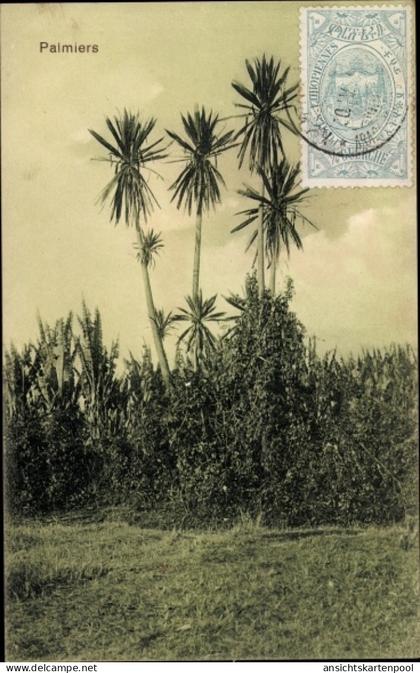 CPA Äthiopien, Palmiers