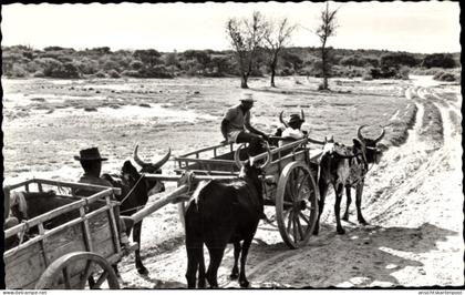 CPA Madagaskar, Ochsenkarren