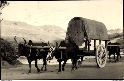 CPA Madagaskar, Szenen aus dem madagassischen Leben