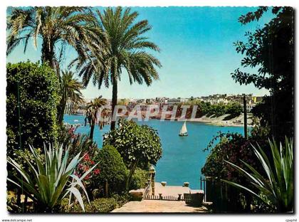 CPM Egypt Assouan Vue da Nil