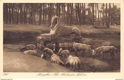 Egypt - MEMPHIS - The alabaster sphynx - Publ. Lehnert & Landrock 1128