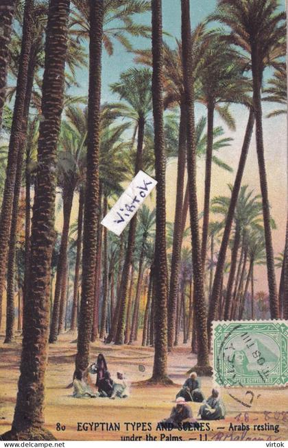 Egypte  : under the palms