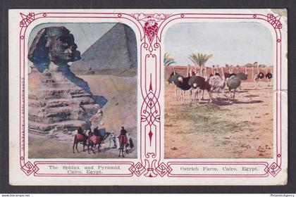 Vintage postcard EGYPT Cairo Sphinx and Pyramid Ostrich Farm