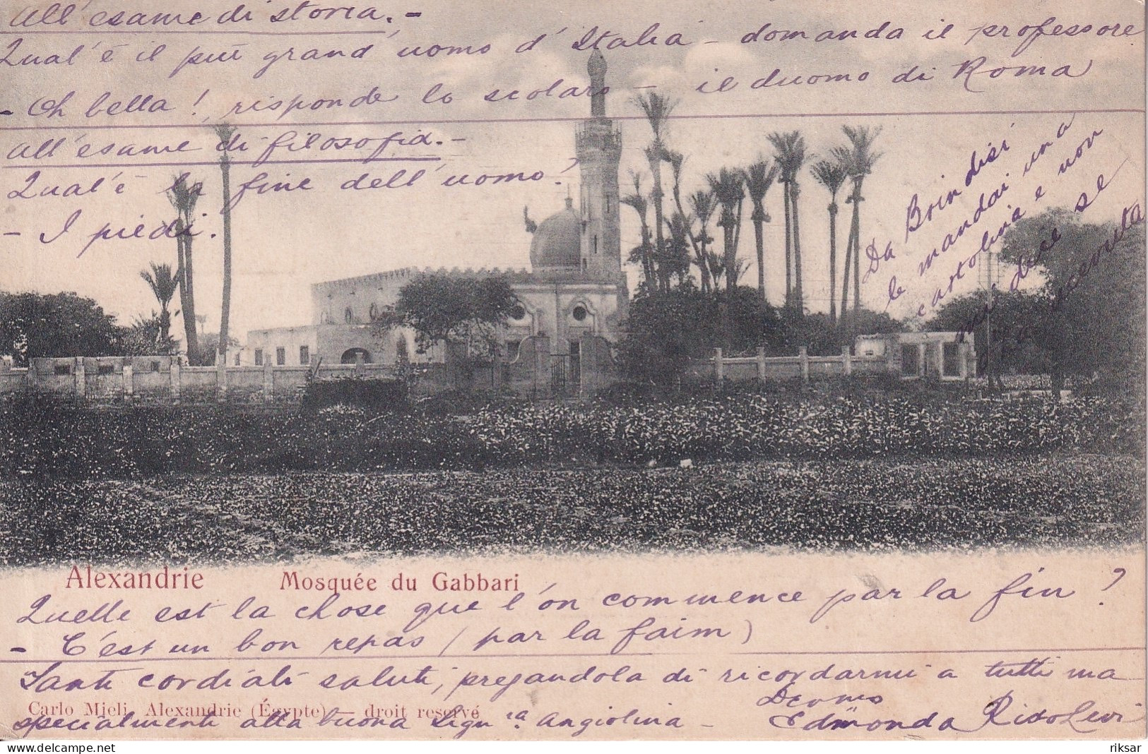 EGYPTE(ALEXANDRIE)