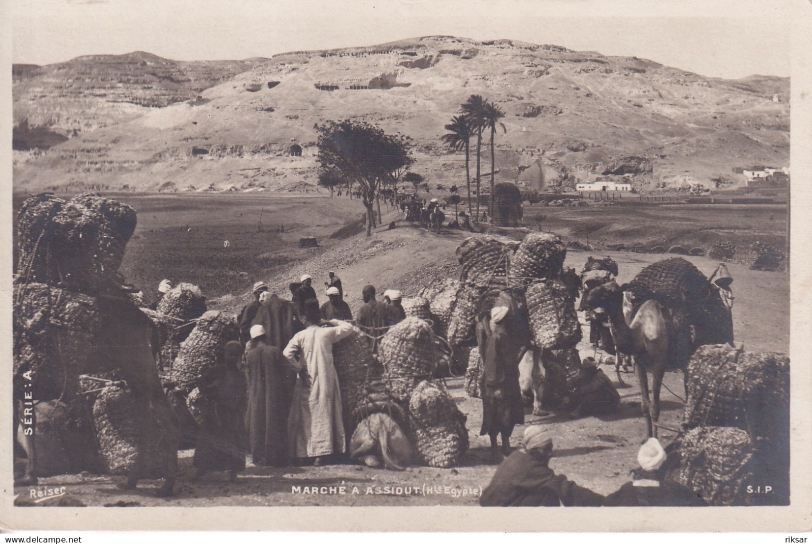 EGYPTE(ASSIOUT) MARCHE
