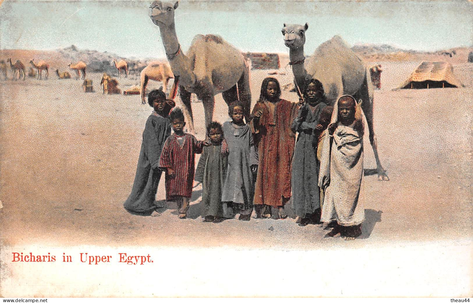 ¤¤   -    EGYPTE   -    Bicharis in Upper Egypt   -  Chameaux     -   ¤¤