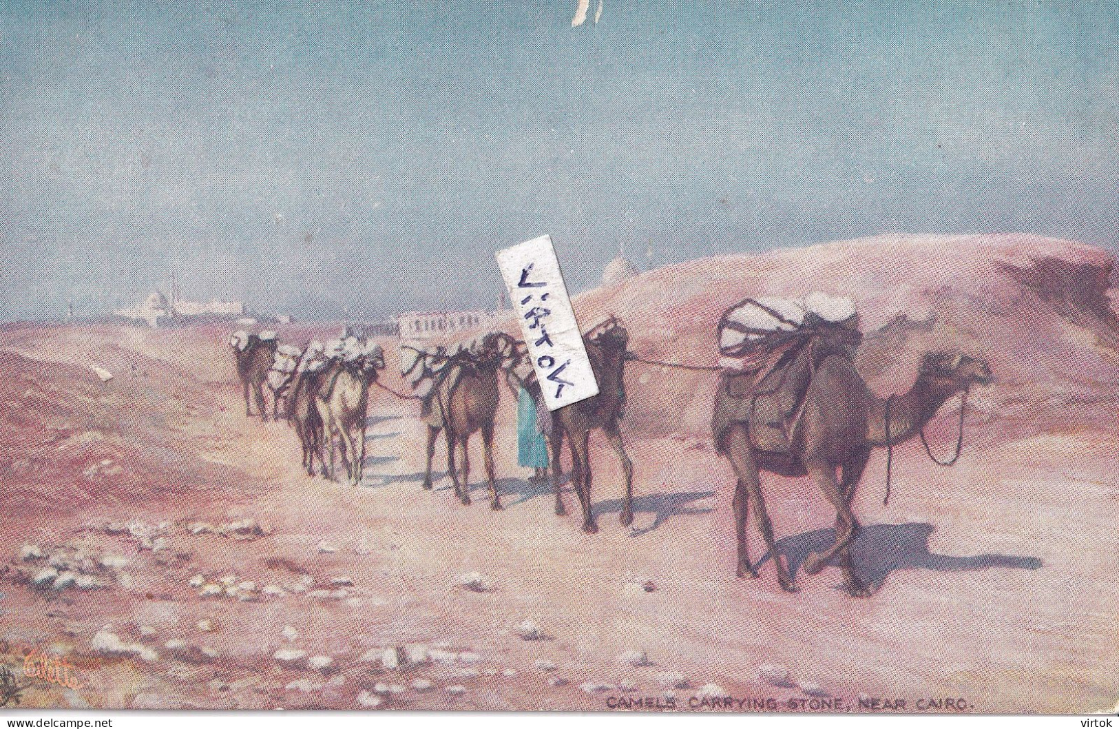 Egypte  :   Caire -     (  camel )   Oilette