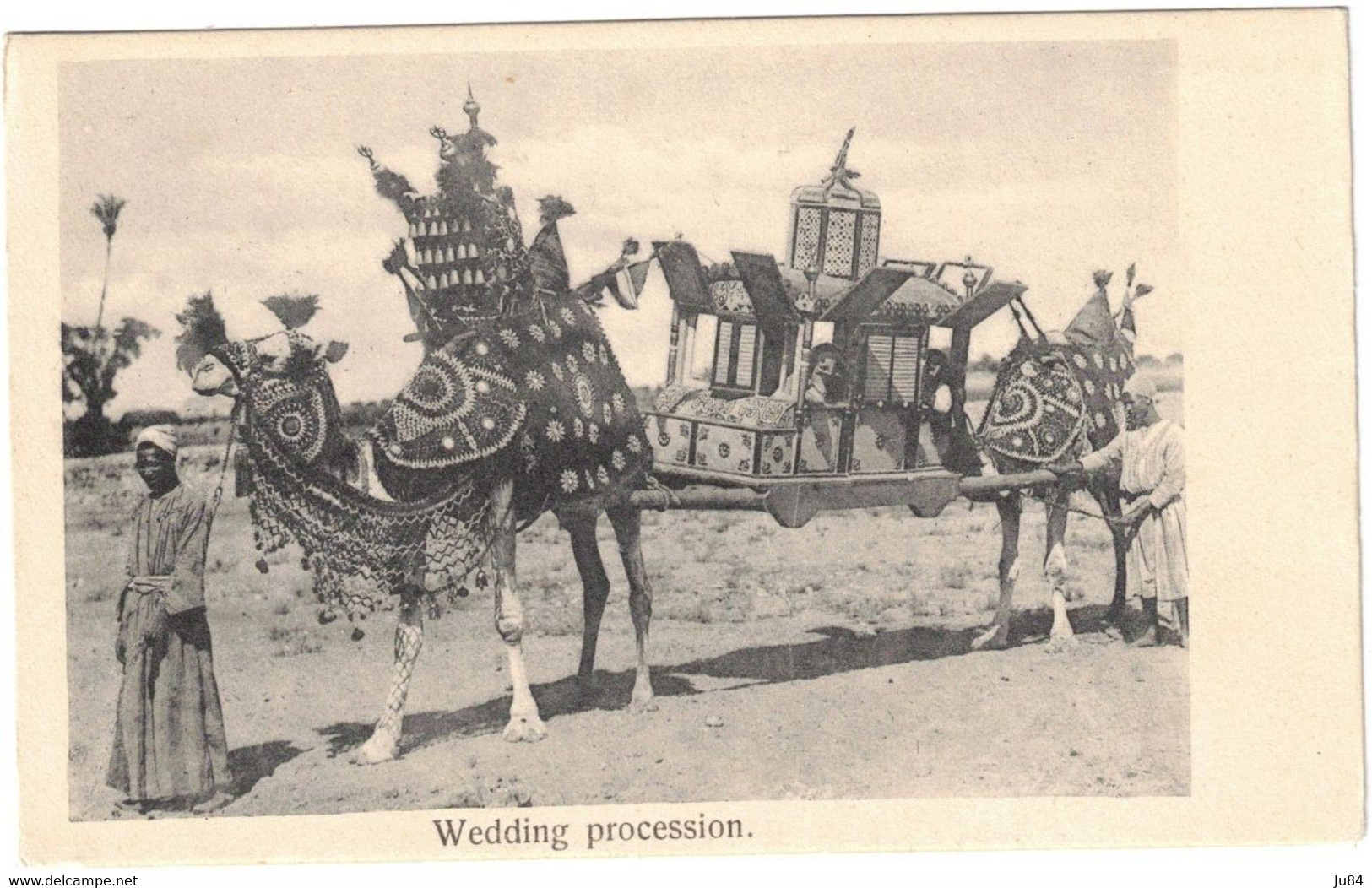 Egypte - Egypte - Wedding Procession - Carte Postale vierge