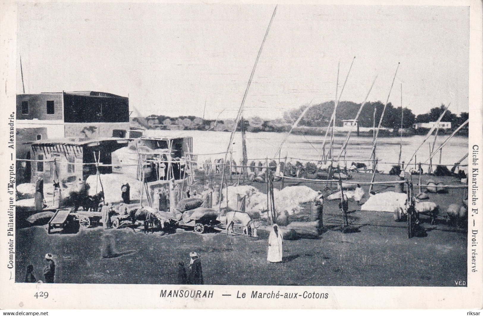 EGYPTE(MANSOURAH) MARCHE AUX COTONS