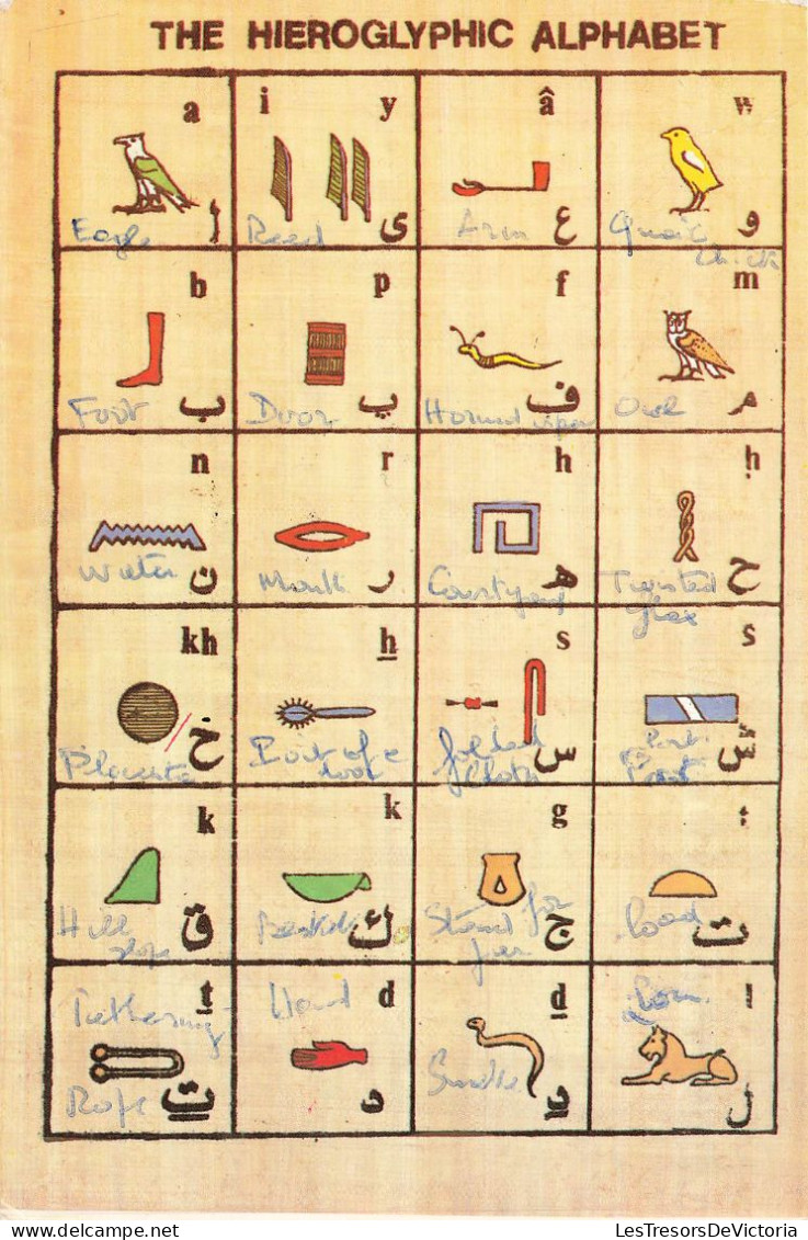 EGYPTE - Musées - The hieroglyphic alphabet - Carte Postale
