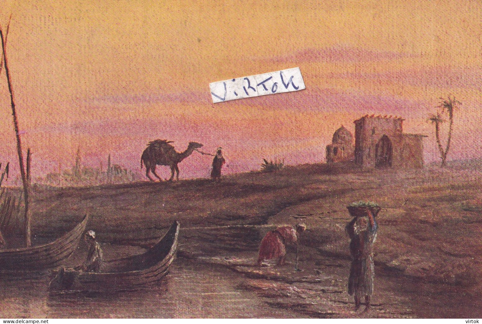 Egypte  :  paysage en Egypte   ( camel )