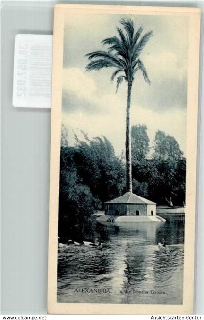 38057032 - Alexandria