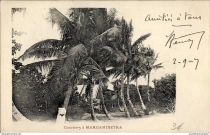 CPA Maroantsetra Madagaskar, Cocotiers, Kokospalmen