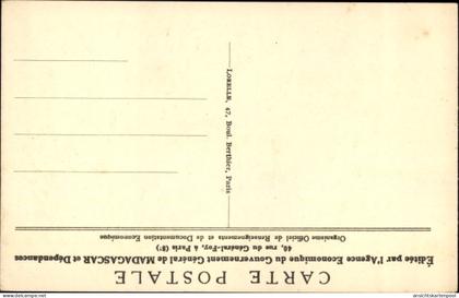 CPA Madagaskar Madagascar, Bananiers