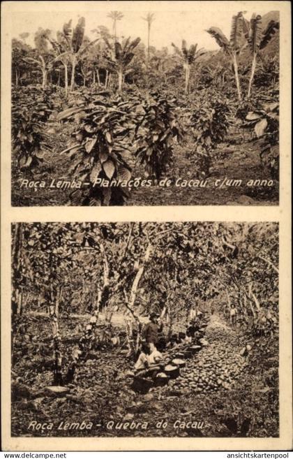 CPA São Tomé und Príncipe, Roça Lembá, Plantacoes de Cacau