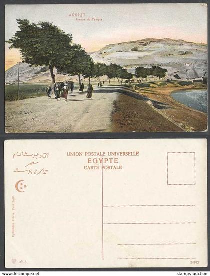 Egypt Old Colour Postcard Asyut Assiout Assiut Avenue du Temple Camels & Natives