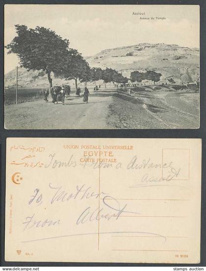 Egypt Old Postcard Asyut Assiout Assiut, Avenue du Temple, Camels & Street Scene