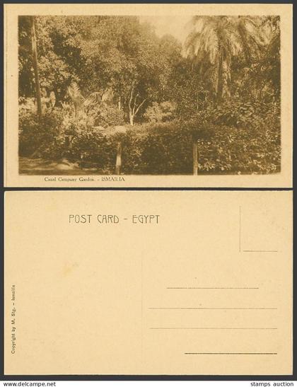 Egypt Old Postcard Ismailia, Canal Company Garden Trees Gardens M. Stg. Ismailia
