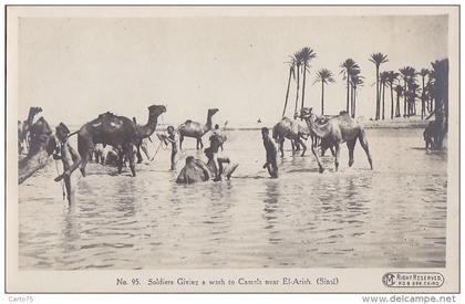 Egypte - Militaria - El Arish -Sinaï) - Soldiers giving a wash to camels