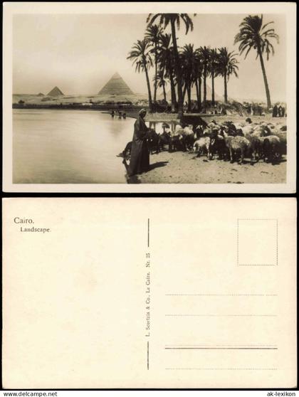 Kairo القاهرة Pyramiden Einheimische Native People Scene 1930