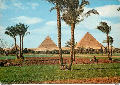 CPM Giza Les Pyramides