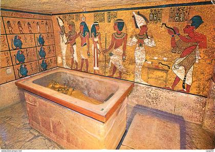 CPM Louxor Vallee des Rois Sarcophage dans la tombe de Tout Ankh Amon