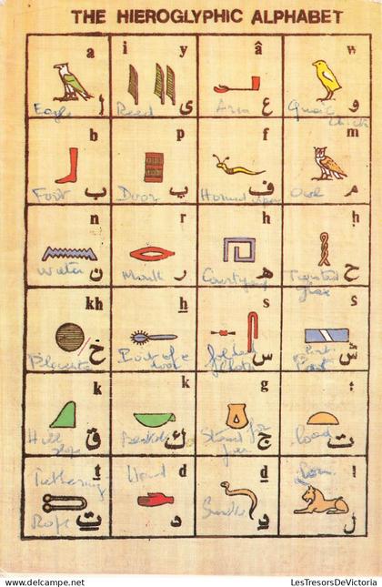EGYPTE - Musées - The hieroglyphic alphabet - Carte Postale