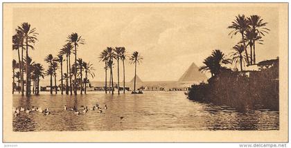 EGYPTE   PYRAMIDES