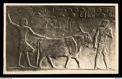 Hieroglyphs