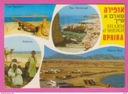 ÉGYPTE - SHARM EL SHEIKH OPHIRA - RAS NASSRANI-RAS MUHAMED-BEDUINS-NAAMA BAY-PEUPLE CHRÉTIEN-PEUPLE DE MOHAMED...
