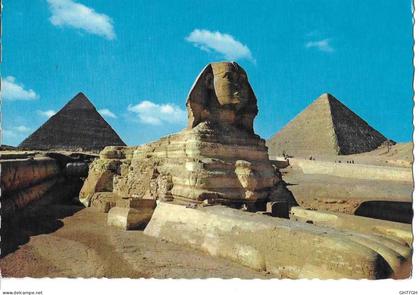 CP EGYPTE -circulée/timbrée