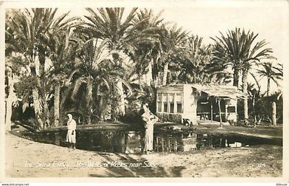 Carte Postale Ancienne - Egypte - Suez - Canal de Suez - Les Sources de Moise près Suez - Animée - Carte Neuve - CPA - V