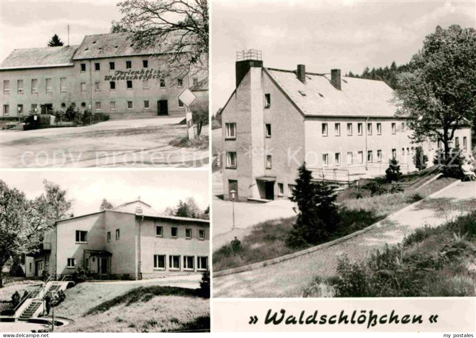 Ehrenfriedersdorf Erzgebirge Ferienheim Waldschloesschen