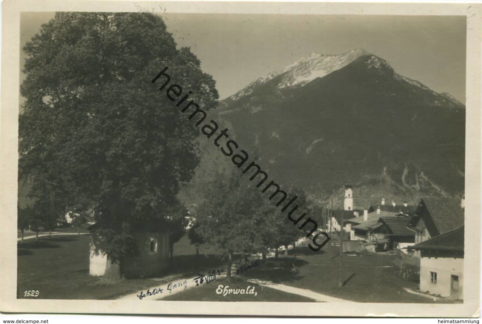Ehrwald - Foto-AK - Photo-Verlag Untergrainau gel. 1930