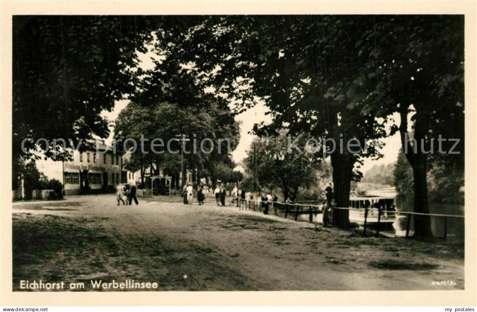 Eichhorst Eberswalde am Werbellinsee