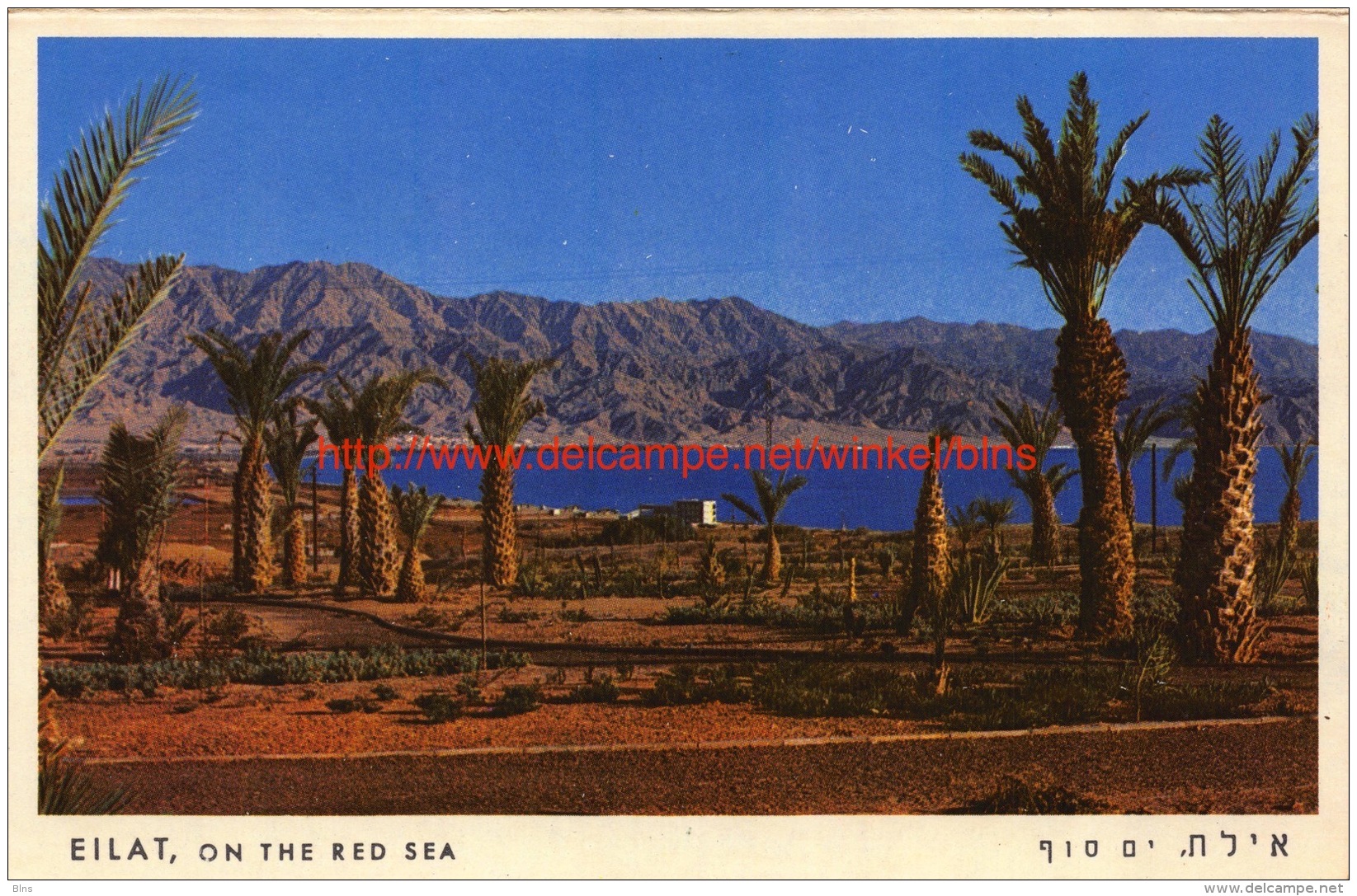 Eilat - Israel