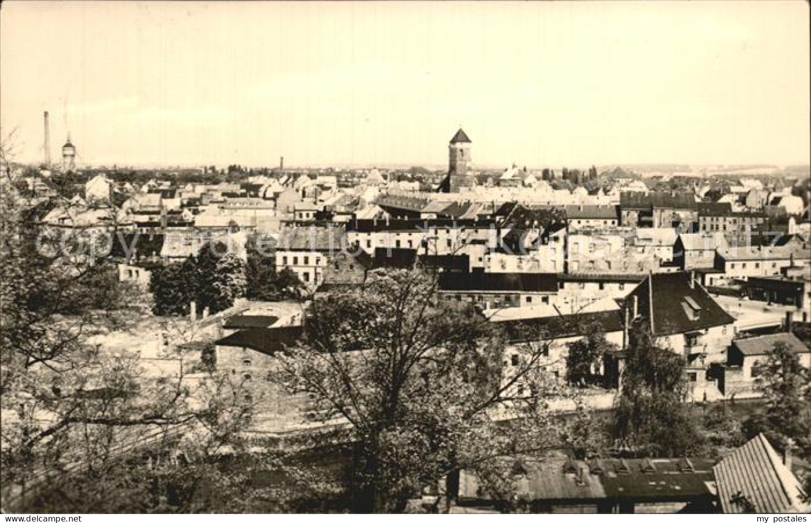 Eilenburg Panorama