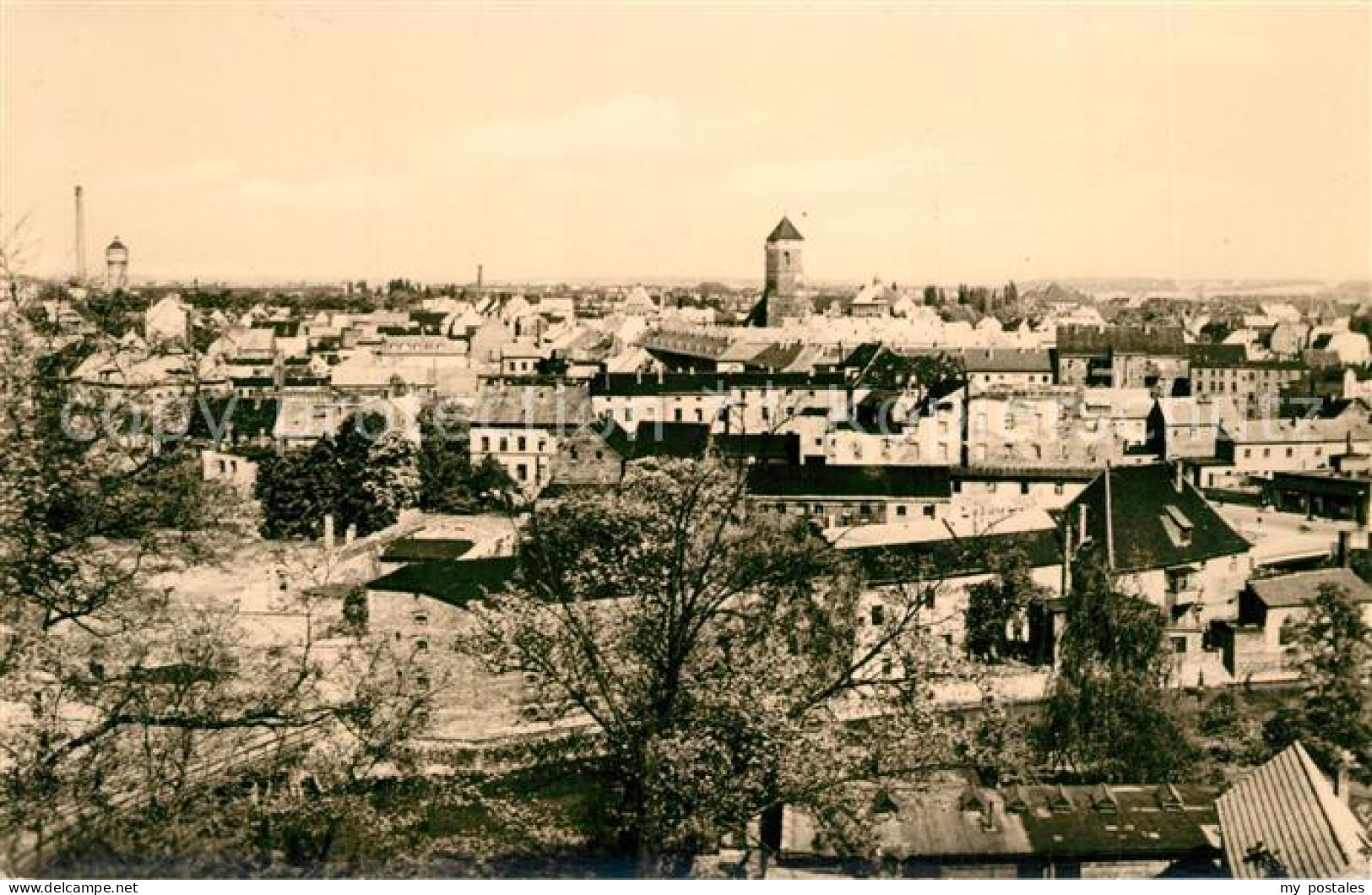 Eilenburg Panorama